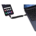 CORDA - Giftology Curled Cable & Adapter Kit